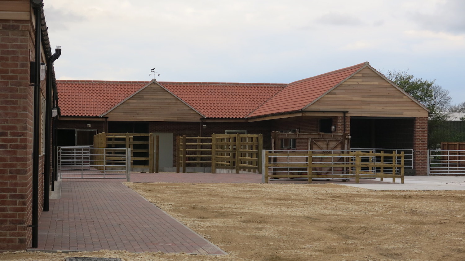 environment for equine at bransby home of rest for horses