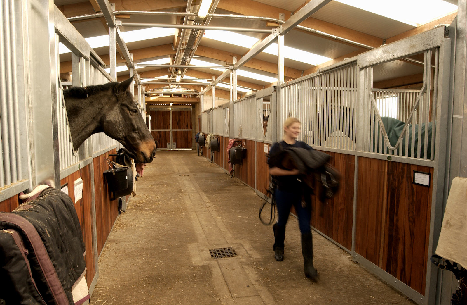 internal view of the riseholme equine centre with a horse on the foreground